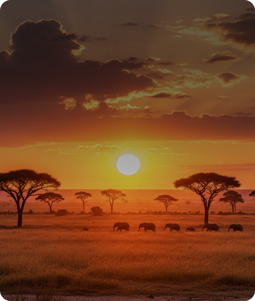 Africa