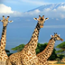 Africa