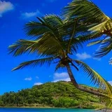 Caribbean