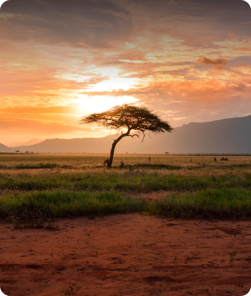Africa