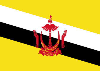 country flag